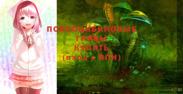 бошки Верея