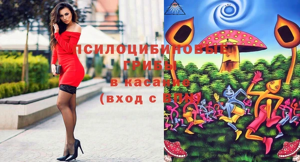 бошки Верея