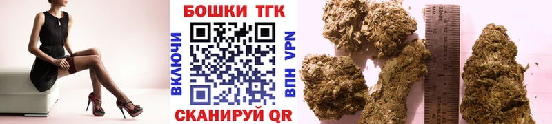 Купить  Нарьян-Мар  Конопля сатива 